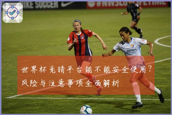 世界杯竞猜平台能不能安全使用?风险与注意事项全面解析