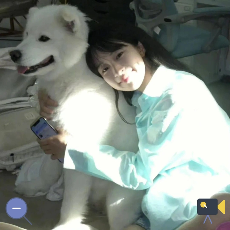 小叶